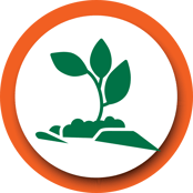 Eco-Innovation